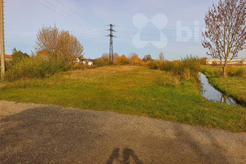 Ostatní, Litvínovice