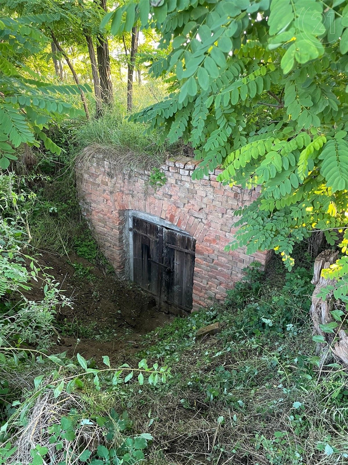 Prodej ostatní - Znojmo, 30 m²