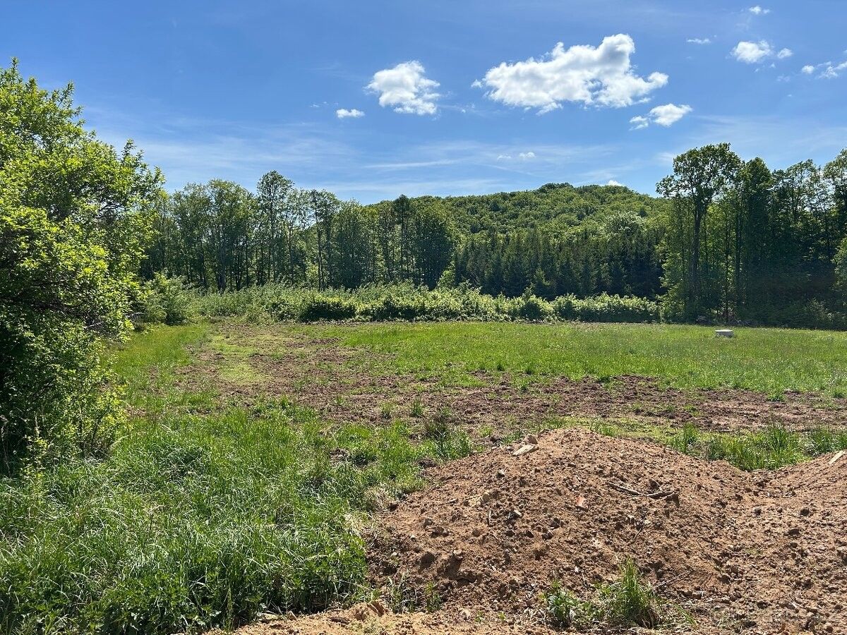 Pozemky pro bydlení, Nová Paka, 509 01