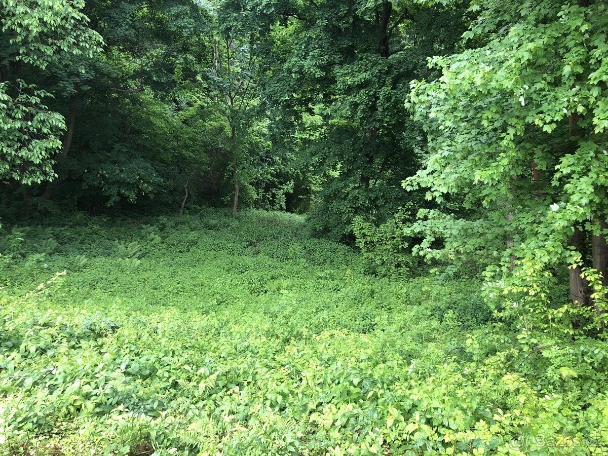 Prodej pozemek pro bydlení - Česká Lípa, 470 01