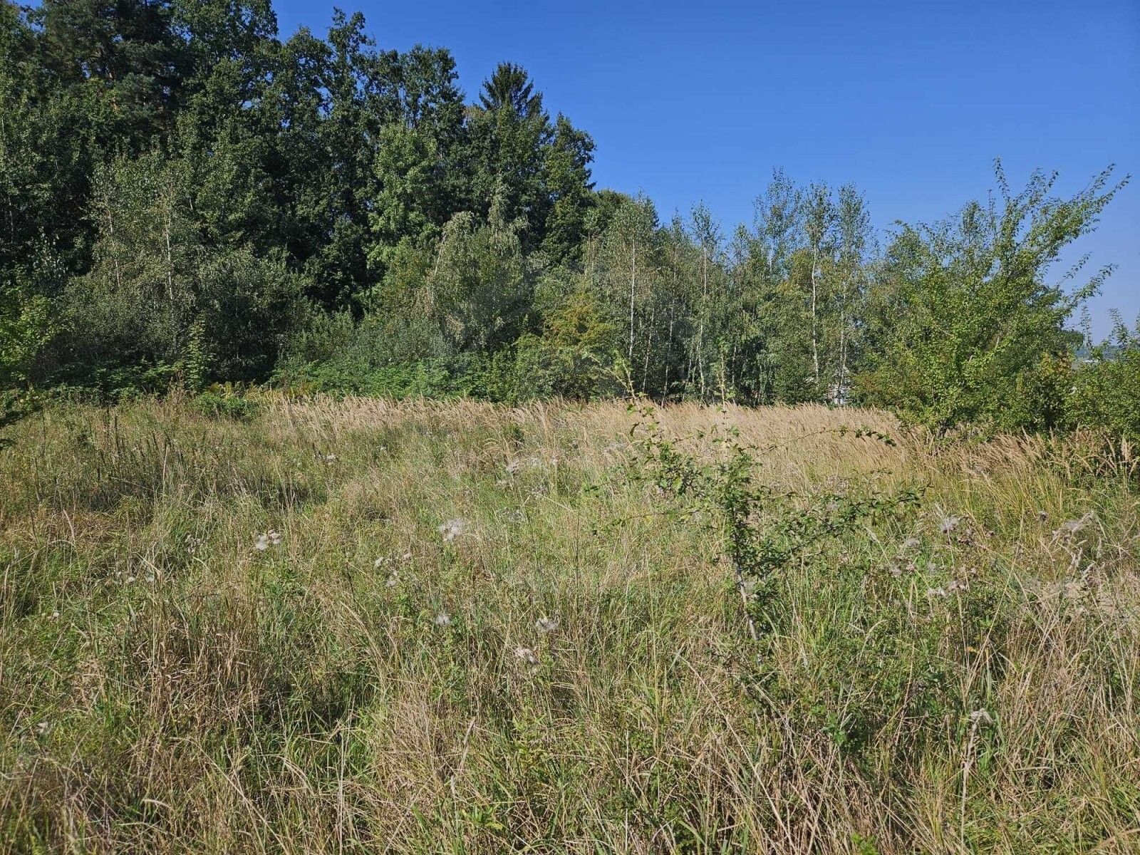 Prodej zahrada - Včelná, 4 m²