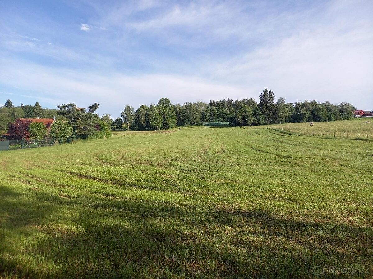 Prodej pozemek pro bydlení - Stachy, 384 73, 7 724 m²