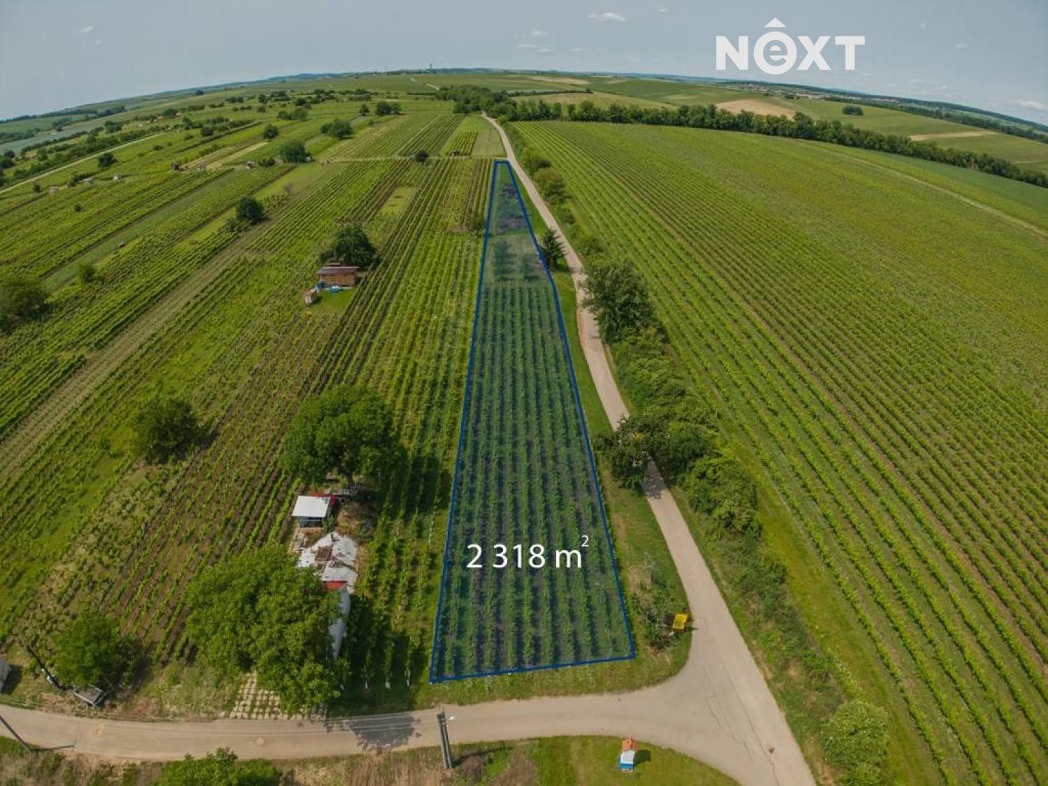 Ostatní, Prušánky