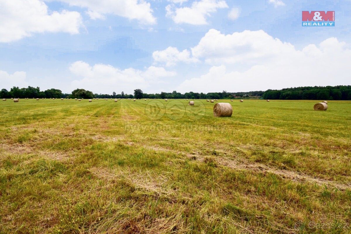 Prodej zemědělský pozemek - Kostelec nad Orlicí, 517 41, 9 197 m²