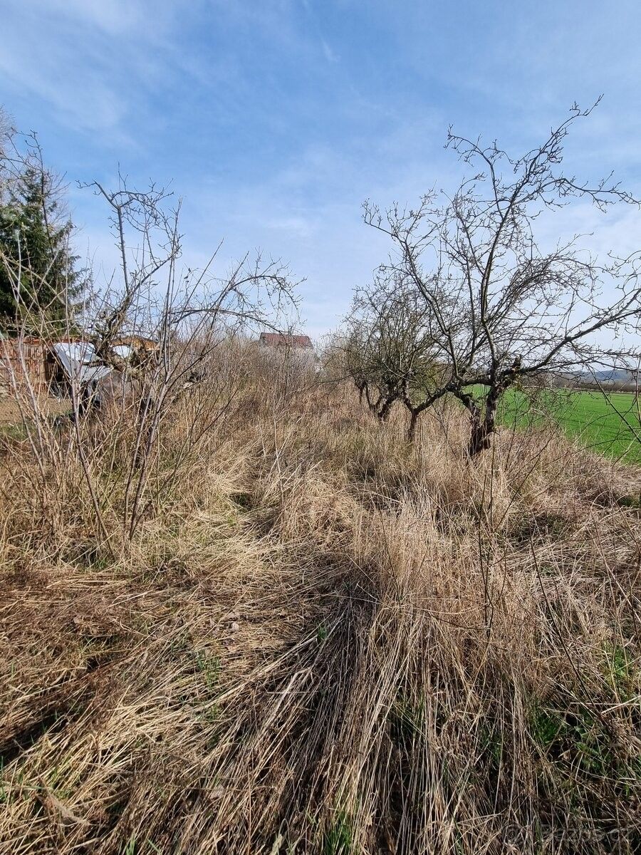 Prodej zemědělský pozemek - Mikulov na Moravě, 692 01, 665 m²