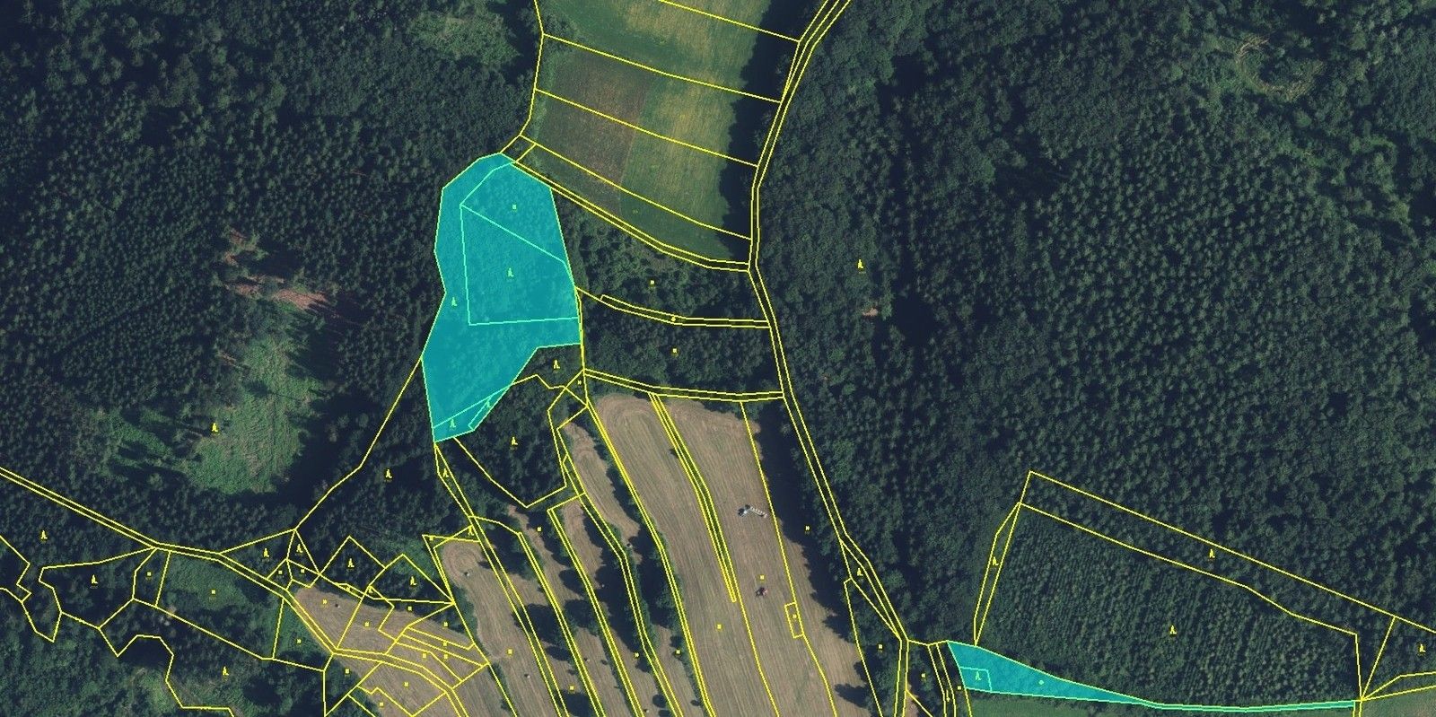 Lesy, Drozdov, 11 m²