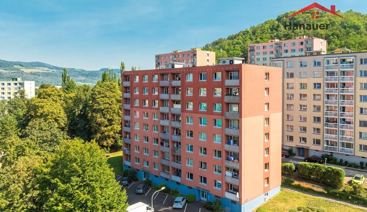 1+1, Ústí nad Labem, 400 03, 35 m²