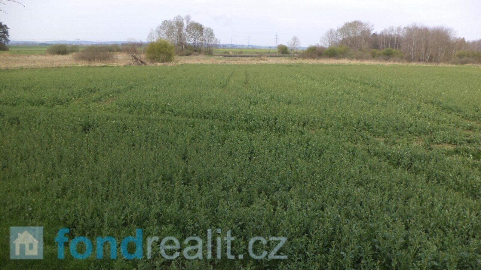 Zemědělské pozemky, Žíšov, 3 m²