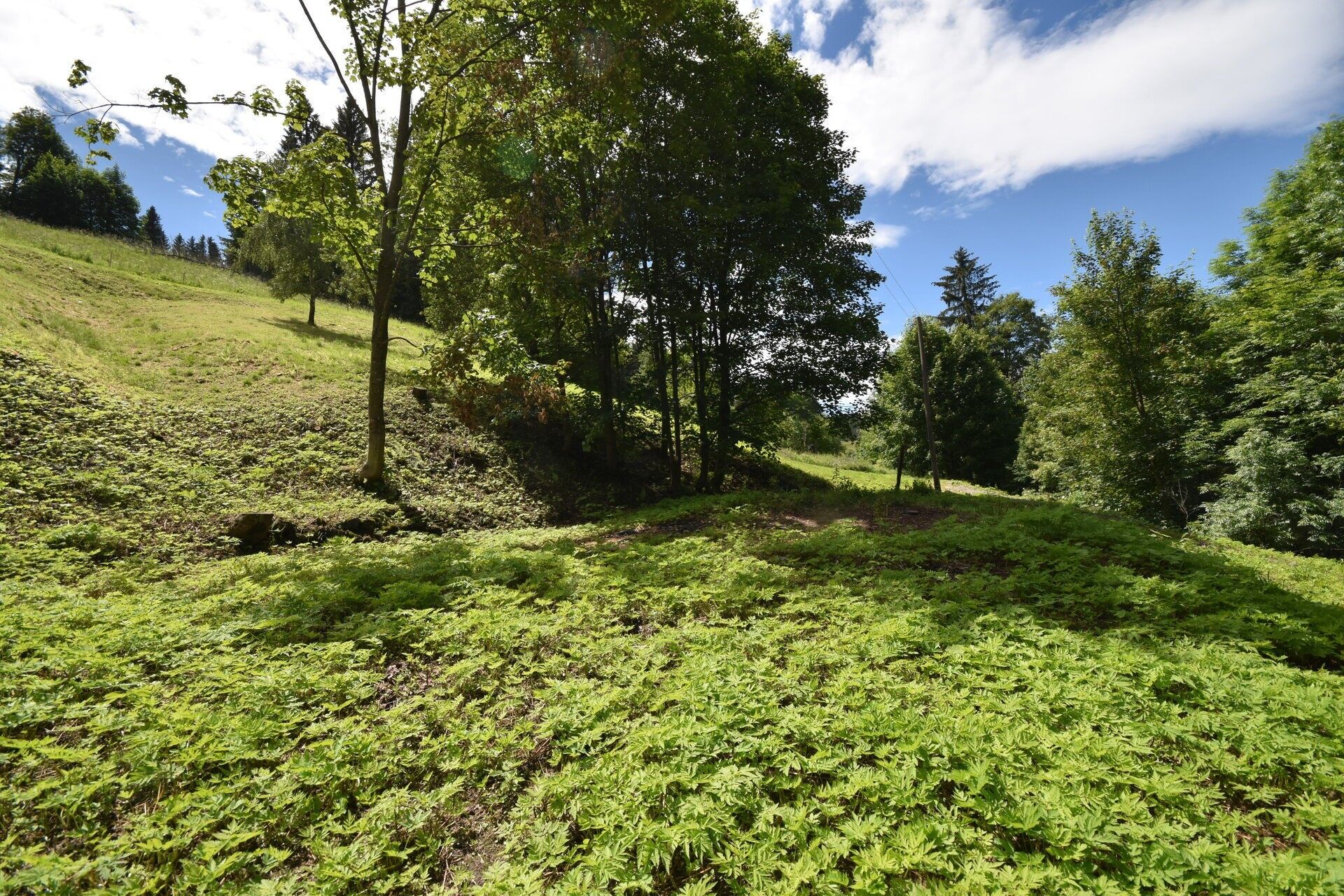 Pozemky pro bydlení, Horní Údolí, Zlaté Hory, 2 799 m²