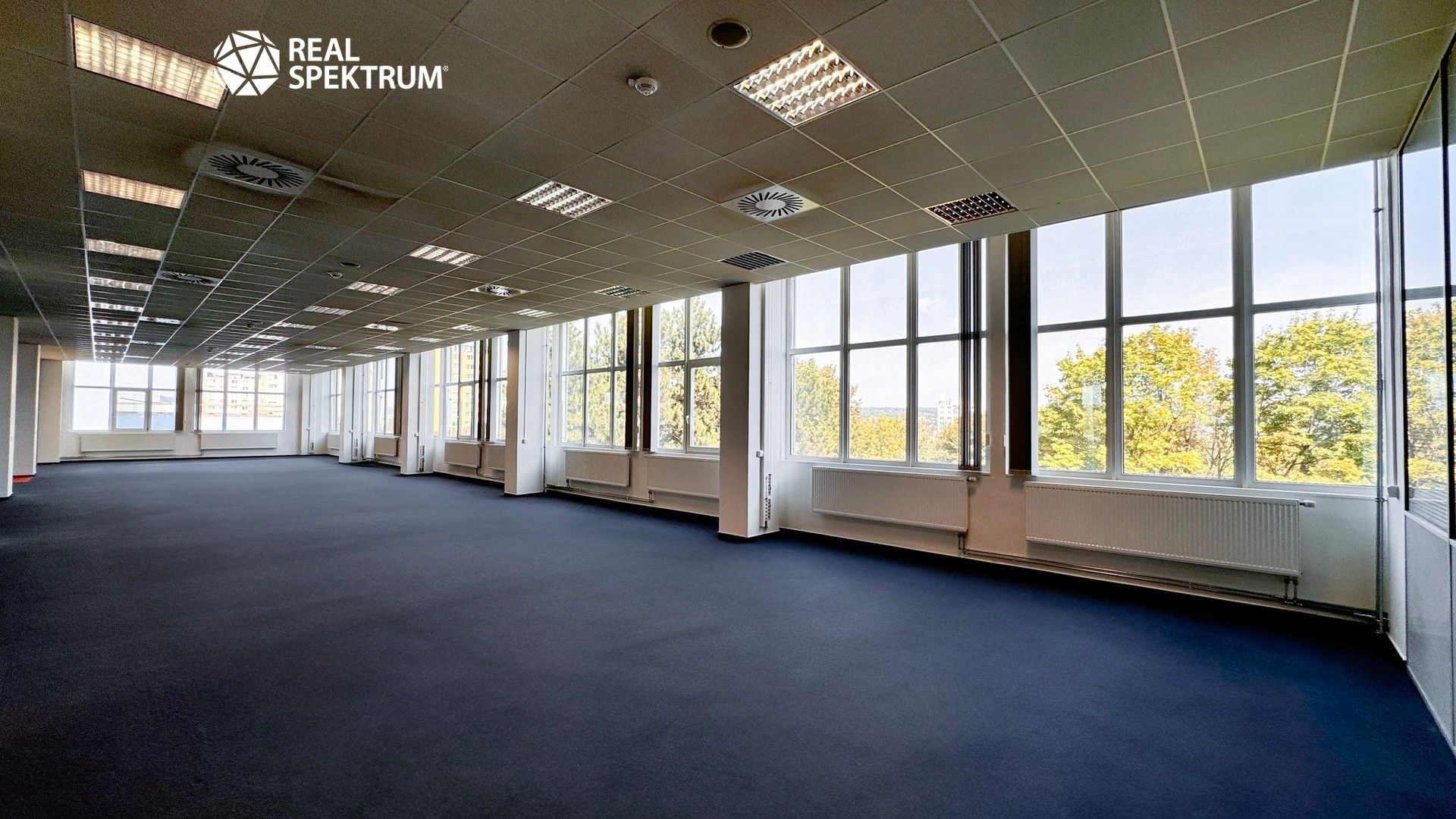 Kanceláře, Purkyňova, Brno, 200 m²