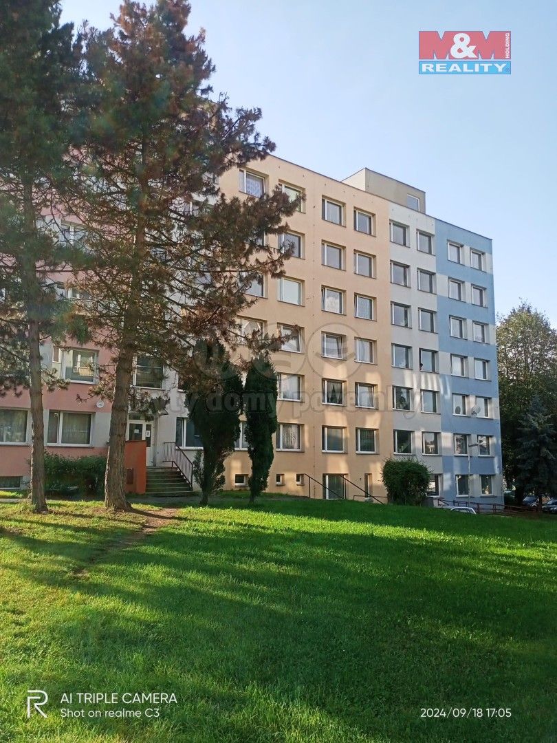 1+kk, Rožmitálská, Březnice, 24 m²