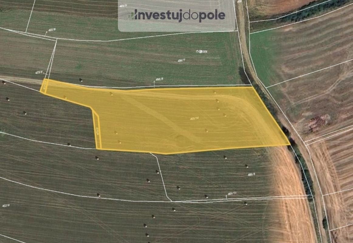 Zemědělské pozemky, Dolany, 16 500 m²