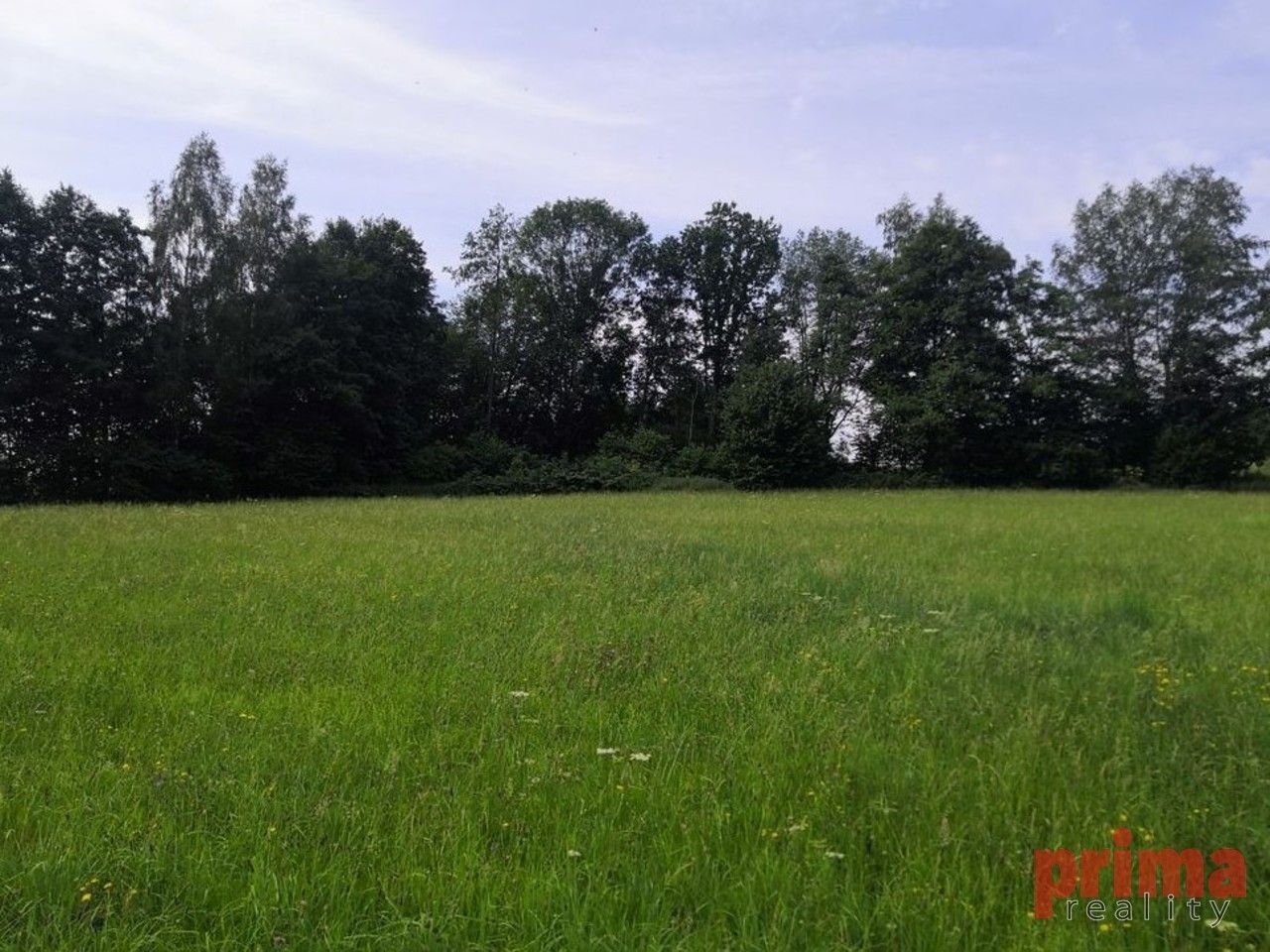 Zemědělské pozemky, Humpolec, 13 728 m²