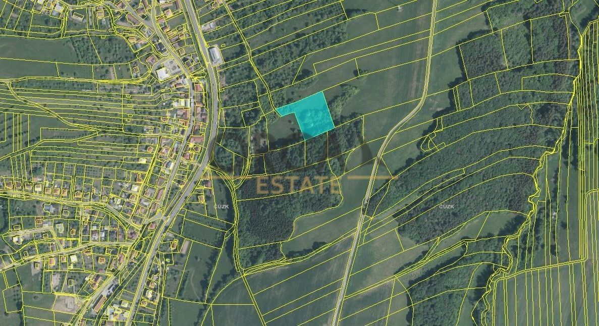 Prodej les - Dolní Lhota u Luhačovic, 763 23, 49 957 m²