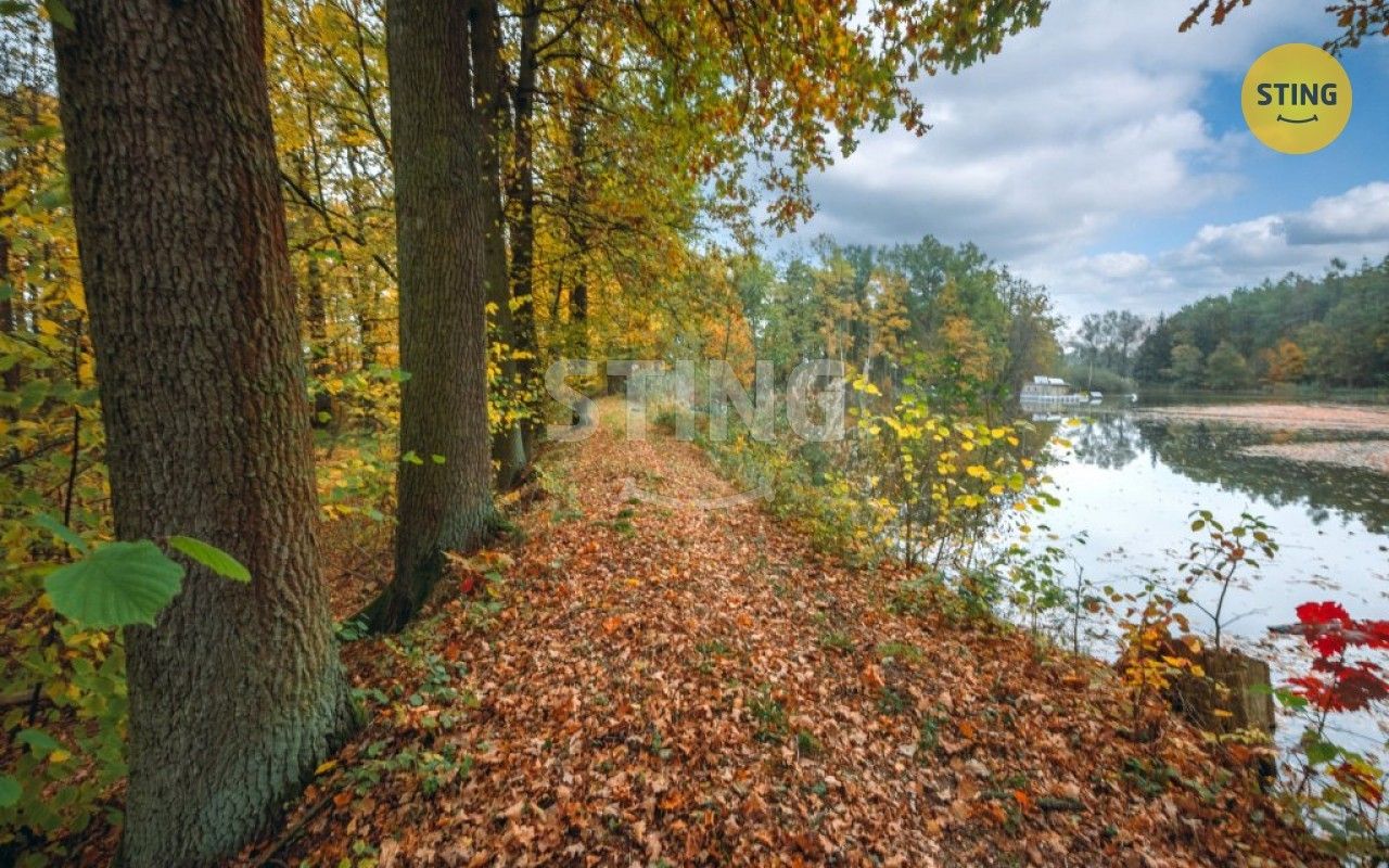 Prodej ostatní - Litětiny, Dolní Roveň, 42 553 m²