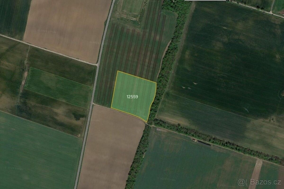 Prodej zemědělský pozemek - Hrabětice, 671 68, 23 848 m²