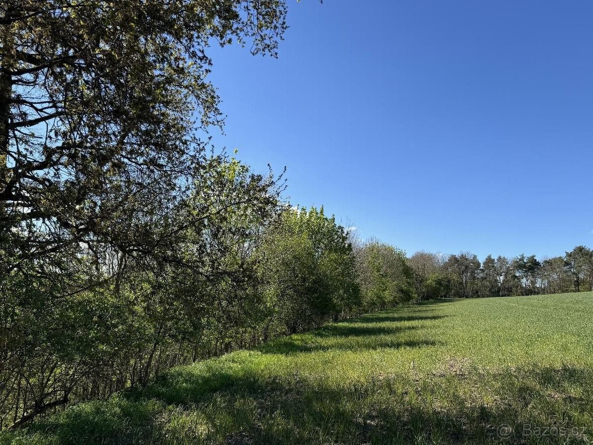 Pozemky pro bydlení, Sychrov, 463 44