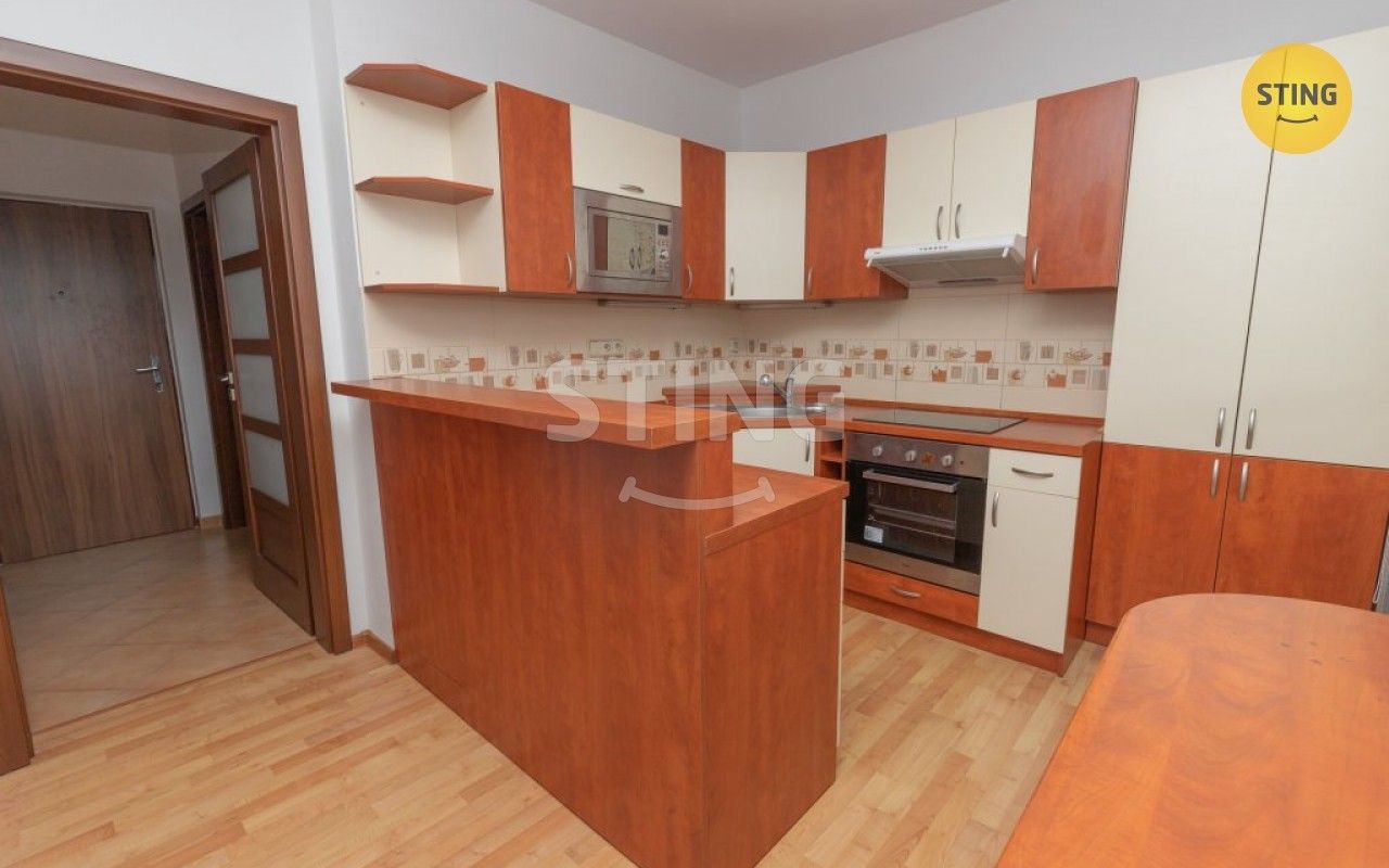 1+1, Bezručova, Frýdek-Místek, 45 m²