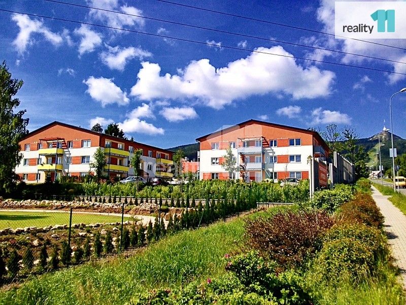 Byty, Liberec, 463 12