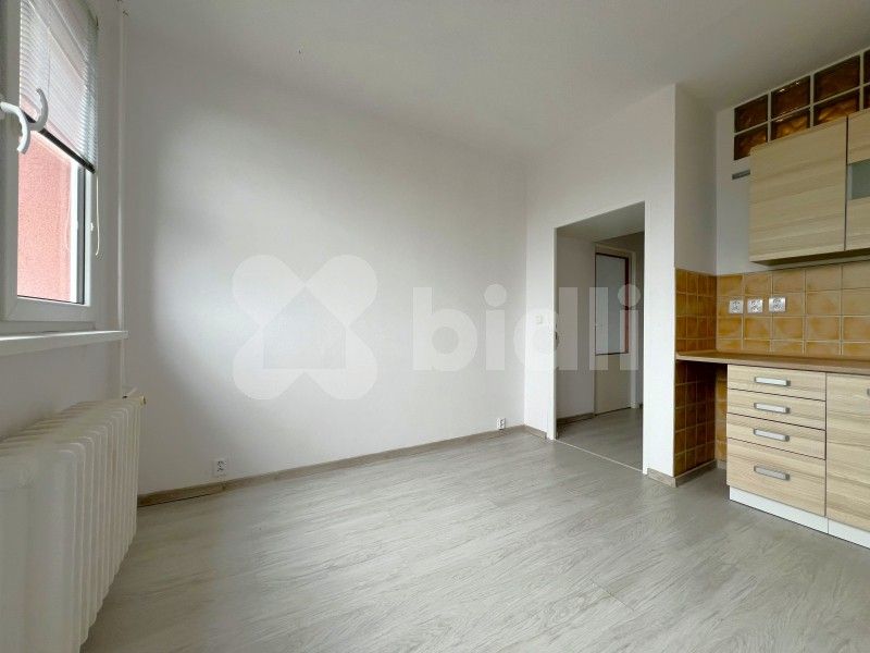 1+1, Bezručova, Frýdek-Místek, 47 m²