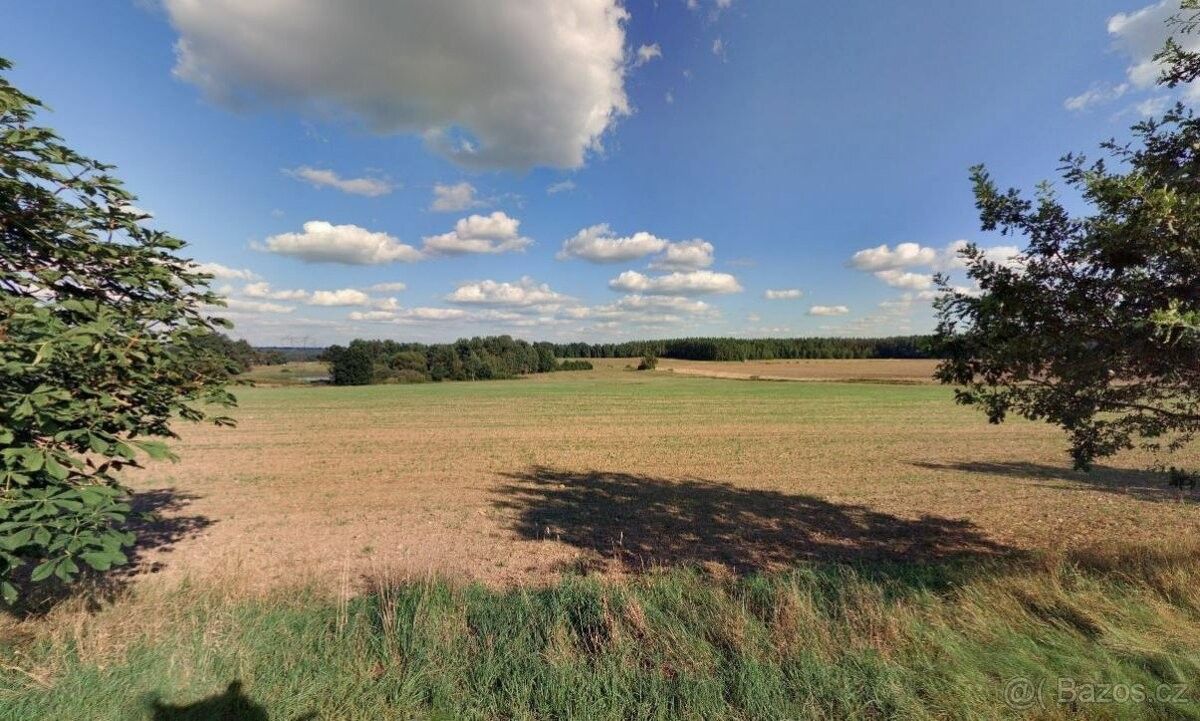 Prodej zemědělský pozemek - Novosedly nad Nežárkou, 378 17, 11 211 m²