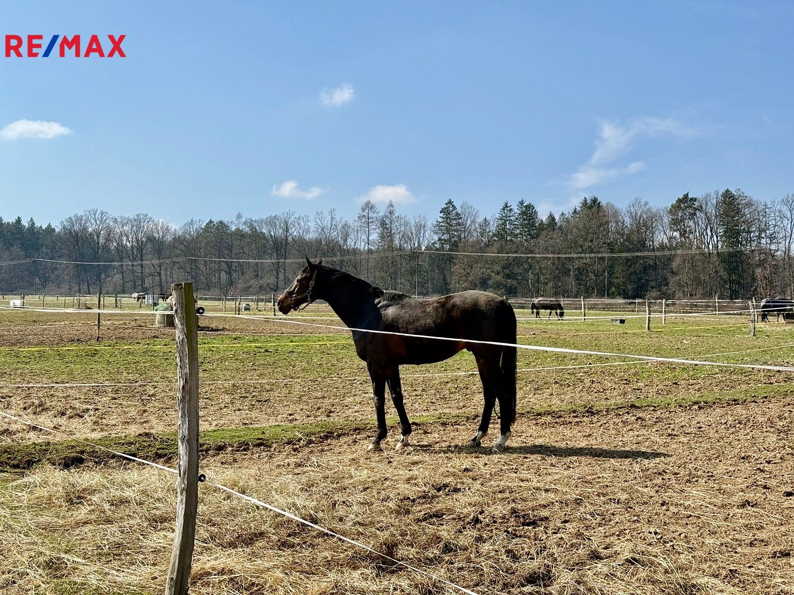 Prodej zemědělský objekt - Spálené Poříčí, 1 m²
