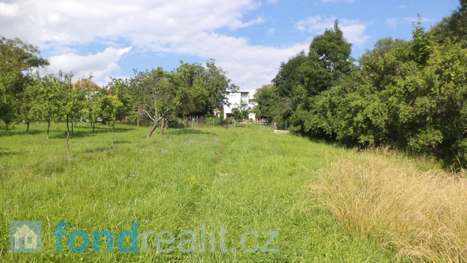 Ostatní, Petrůvka, 1 m²