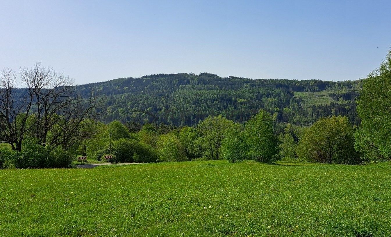 Prodej pozemek pro bydlení - Uhřice, Vlachovo Březí, 7 779 m²