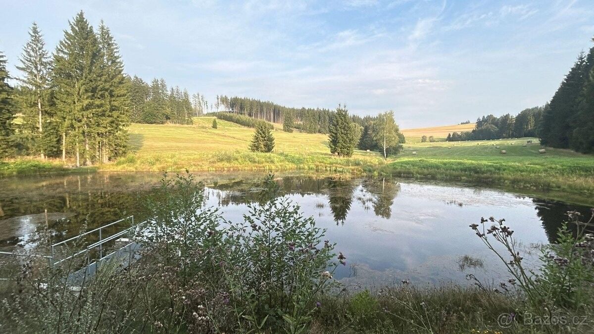 Ostatní, Chrudim, 537 01