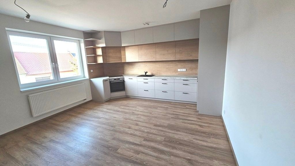 4+kk, Výhon, Přísnotice, 151 m²