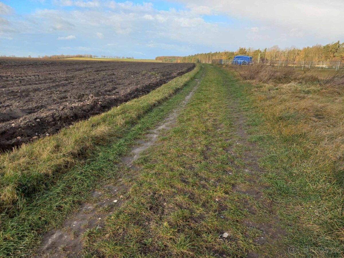 Prodej pozemek - Vápno u Přelouče, 533 16, 1 025 m²