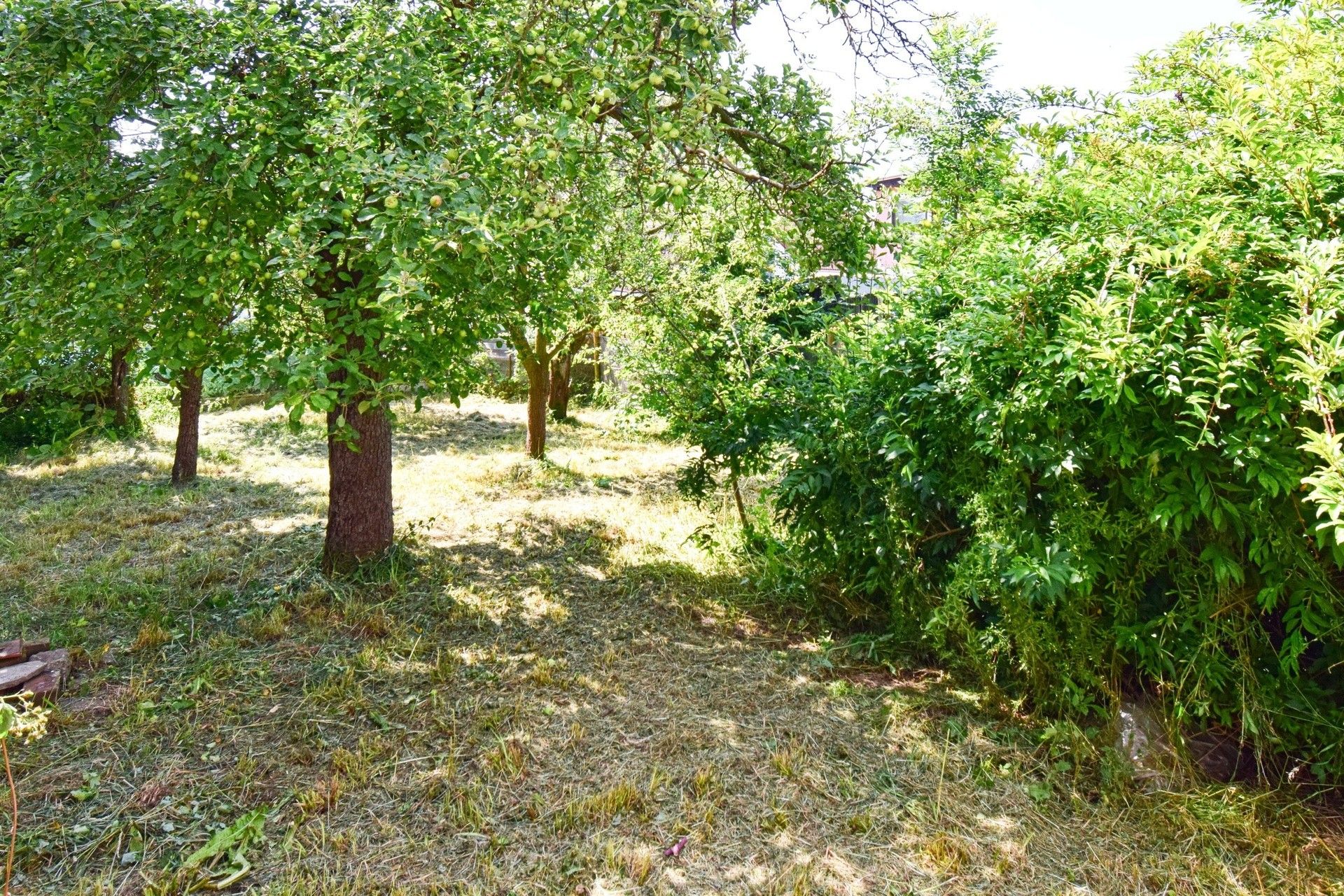 Prodej rodinný dům - Boženy Němcové, Sušice, 150 m²