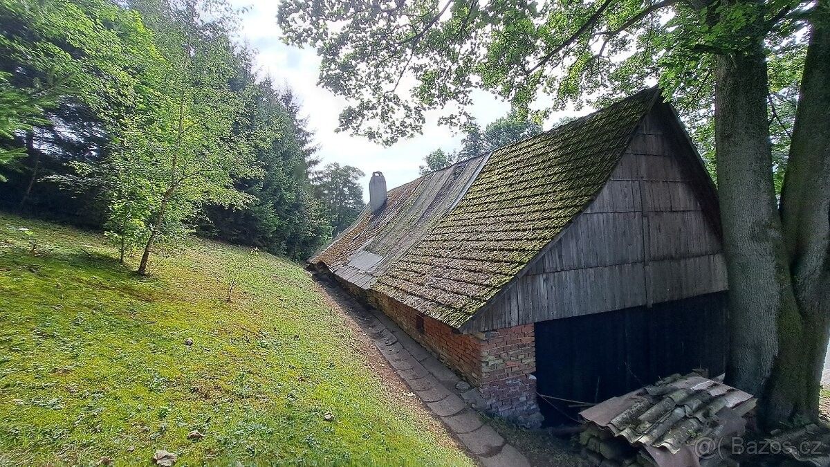 Prodej chata - Pěčín u Rychnova nad Kněžnou, 517 57, 500 m²