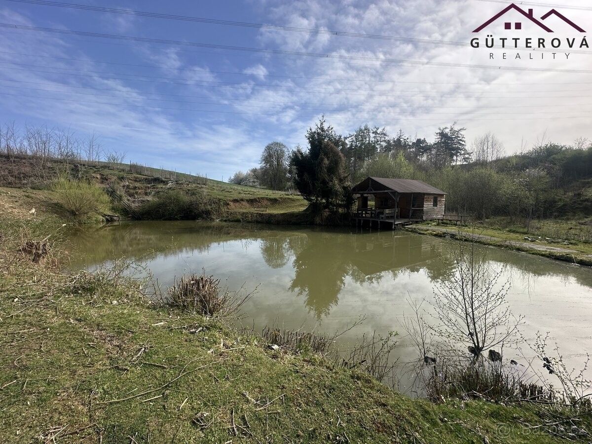 Prodej ostatní - Hradec u Stoda, 332 11