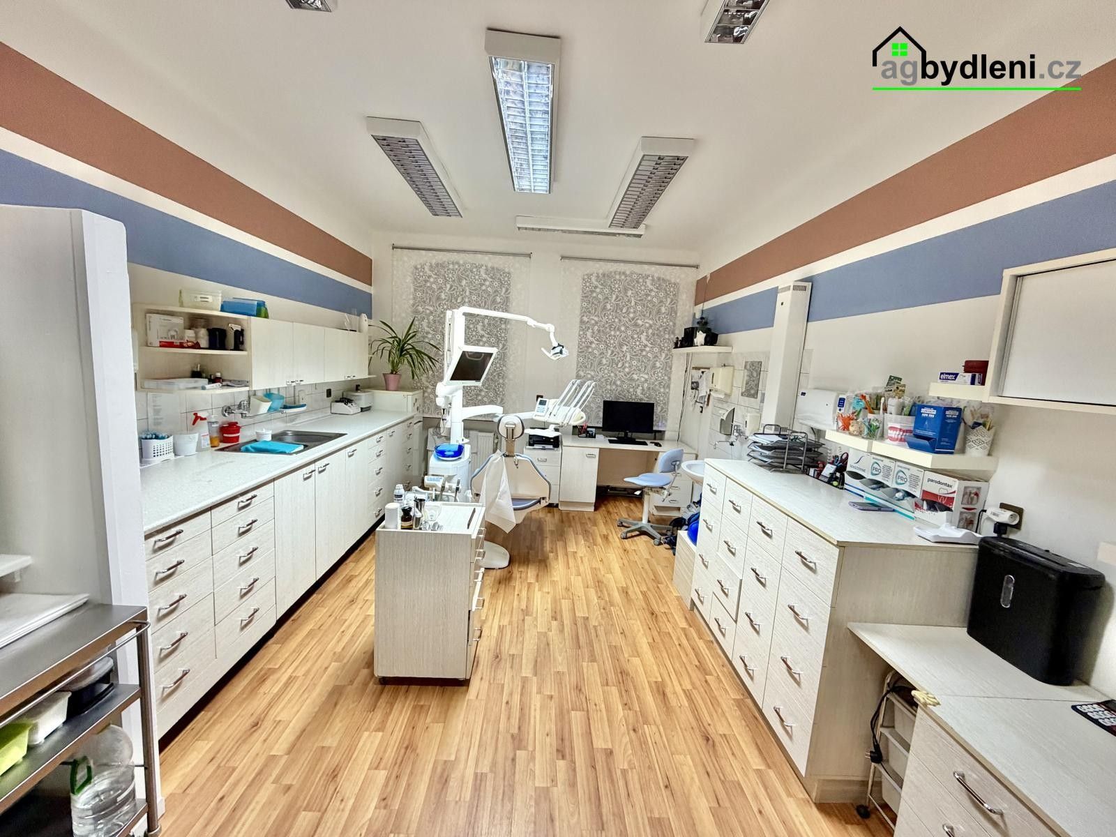 Ostatní, Havlíčkova, Plzeň, 64 m²