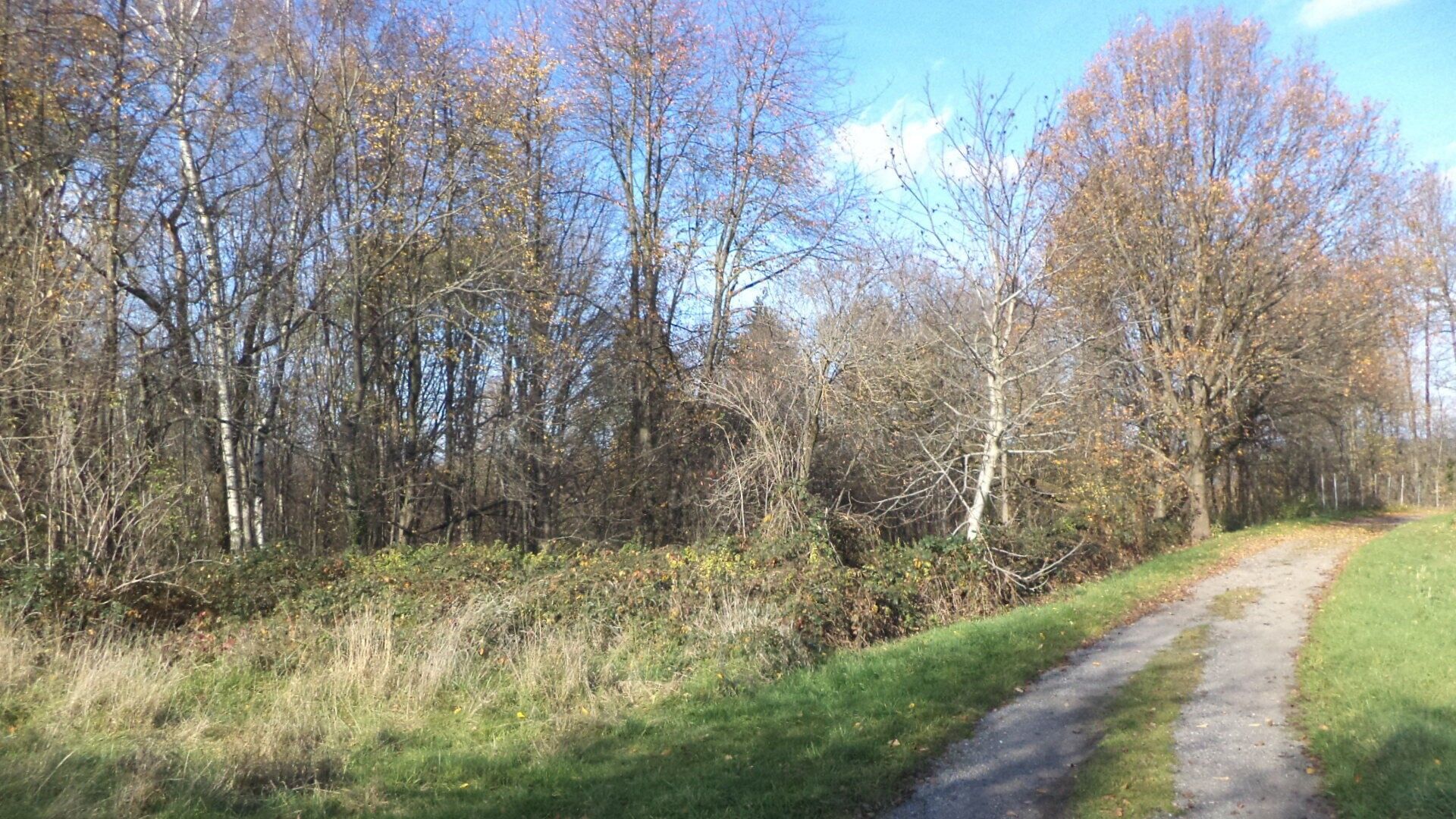 Pozemky pro bydlení, Nakolice, Nové Hrady, 1 m²