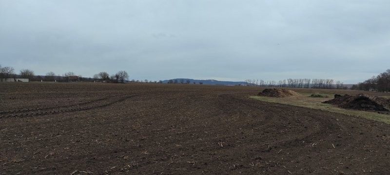 Prodej komerční pozemek - Rousínov