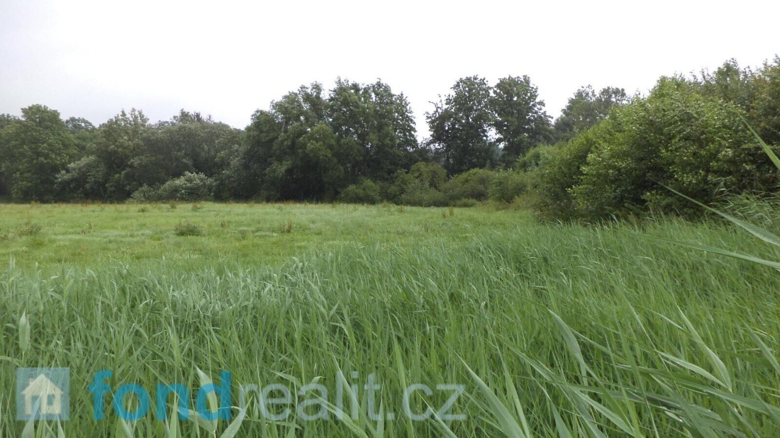 Ostatní, Golčův Jeníkov, 996 m²