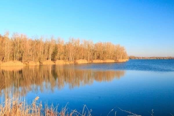 Pozemky pro bydlení, Pardubice, 530 03