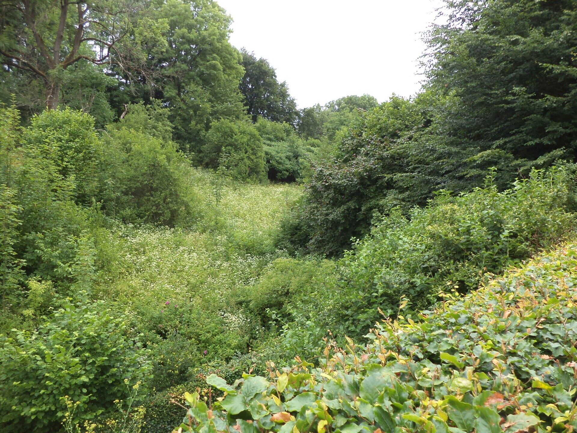 Ostatní, Liberk, 2 m²