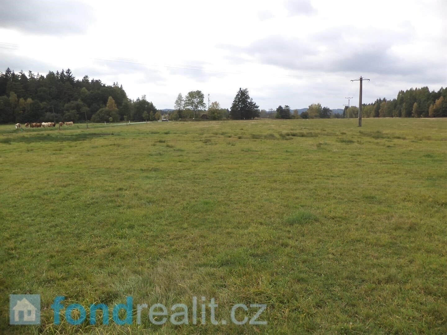 Prodej zemědělský pozemek - Nová Ves nad Lužnicí, 30 010 m²