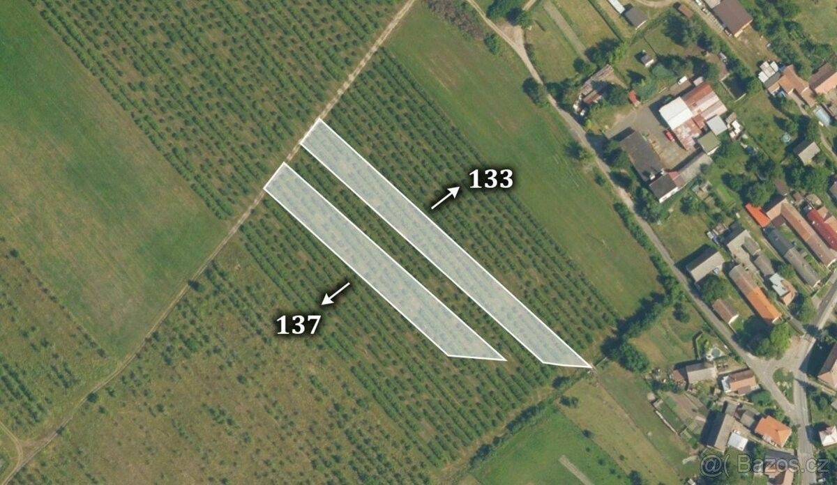 Prodej les - Horušice, 285 73, 59 029 m²