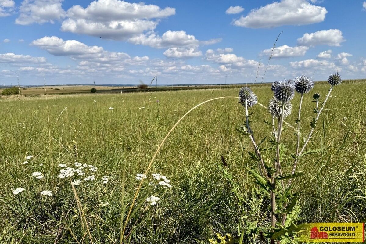 Pozemky pro bydlení, Znojmo, 669 02