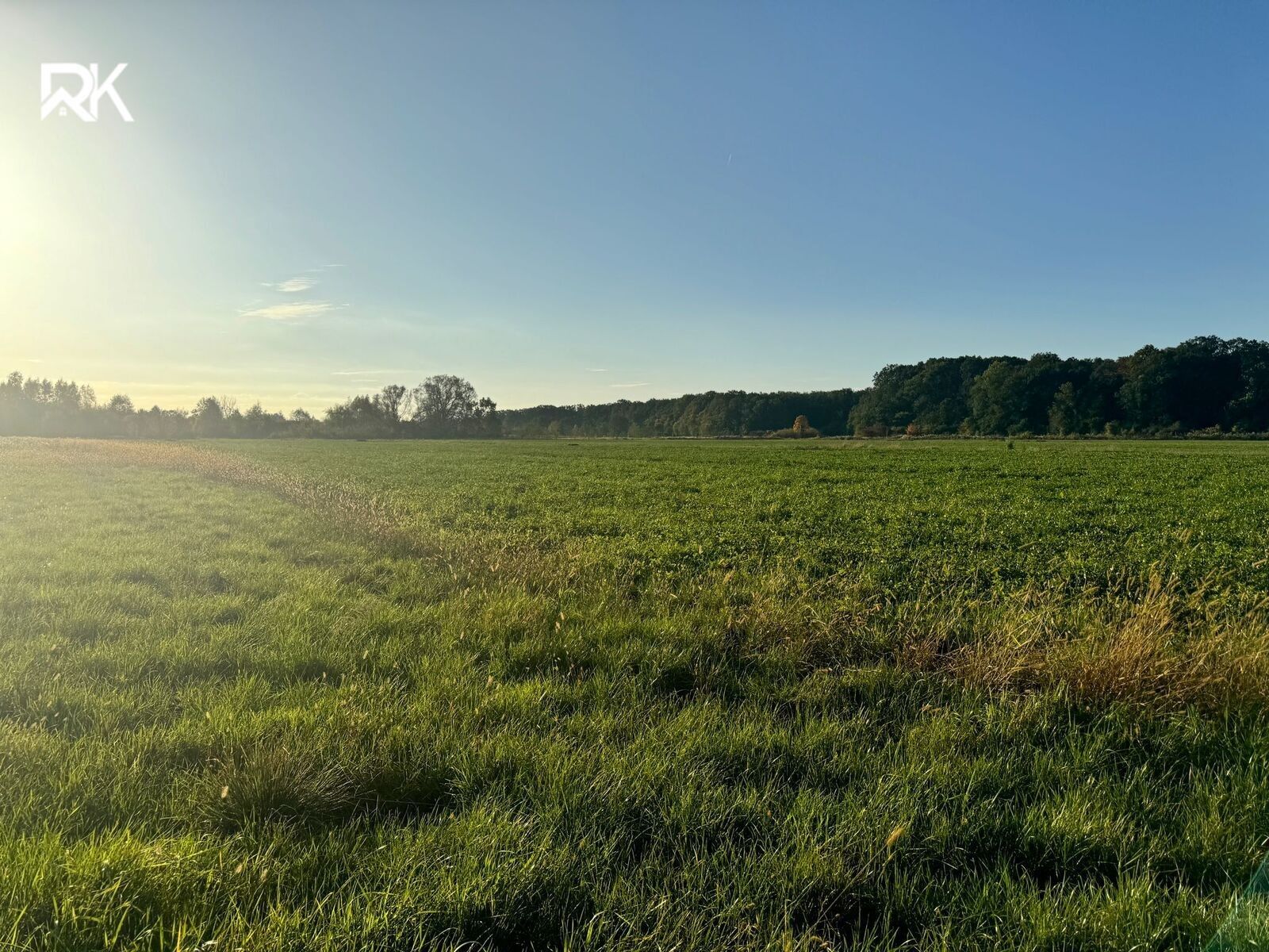 Prodej zemědělský pozemek - Poděbrady, 5 438 m²