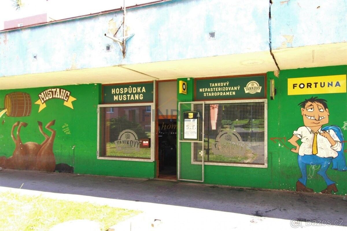 Restaurace, Chomutov, 430 04