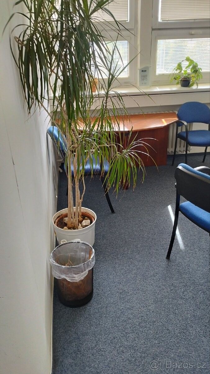 Kanceláře, Zlín, 763 02