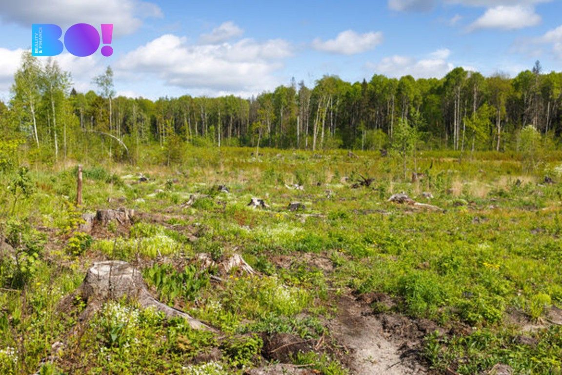 Prodej les - Krásná, 16 m²