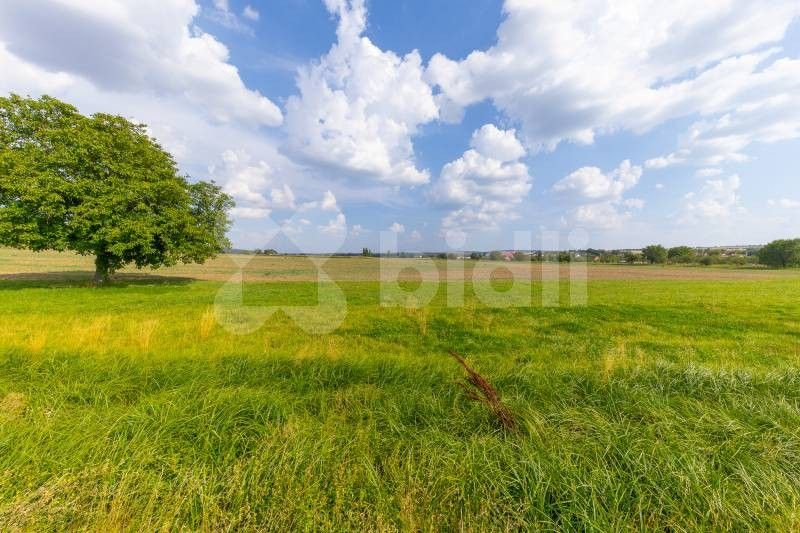 Prodej zahrada - Hodějice, 1 563 m²