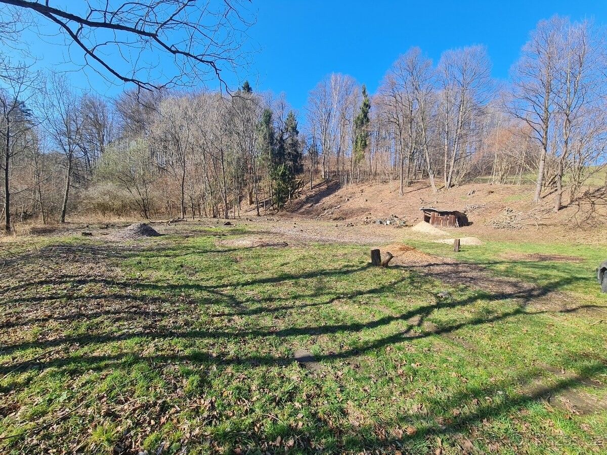 Ostatní, Zlaté Hory v Jeseníkách, 793 76, 3 050 m²