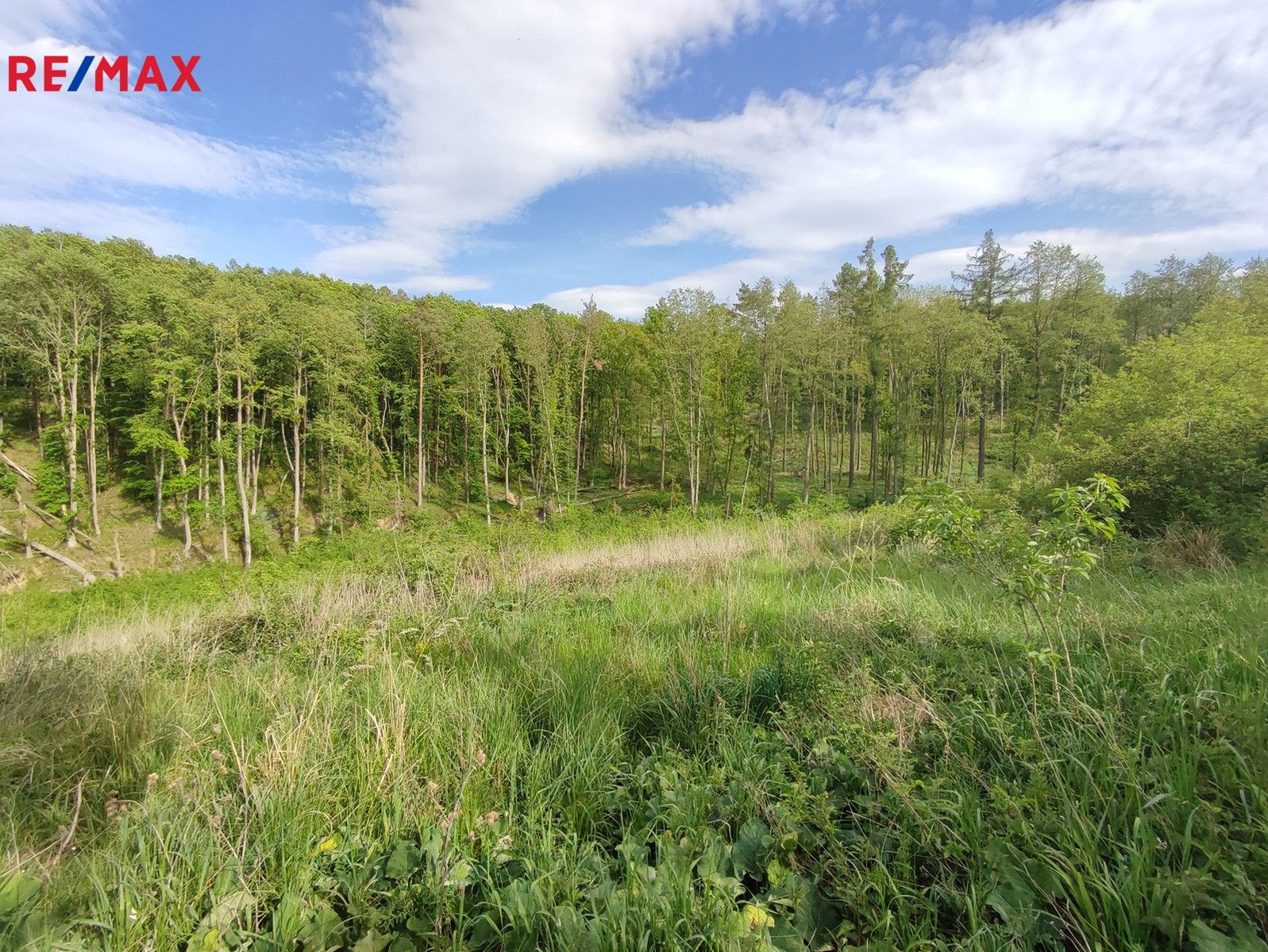 Lesy, Vladislav, 17 m²